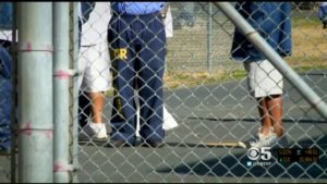 inmates stand in prison yard behind chain link fence